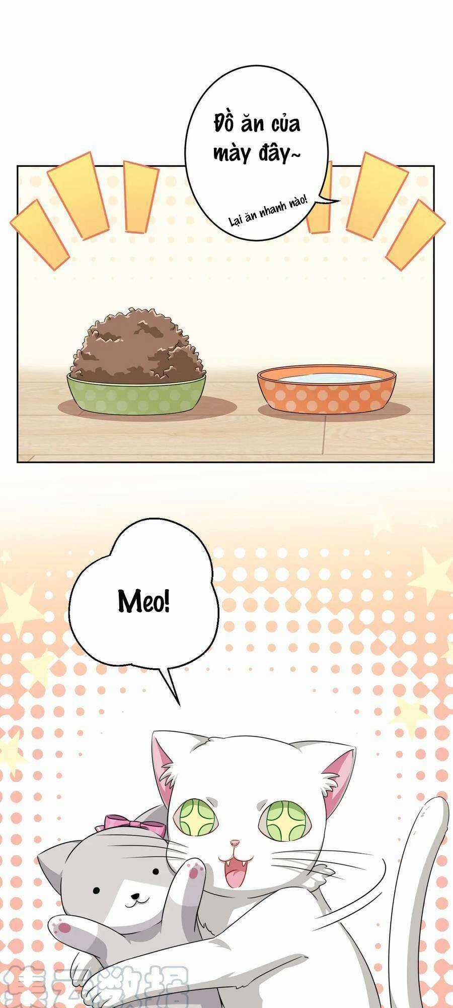 Ông Trời Đã Ban Cho Tôi Siêu Năng Lực Kỳ Lạ Gì Thế Này? Chương 8 trang 7