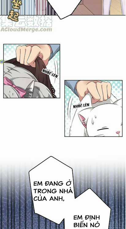 Ông trời đã cho tôi siêu năng lực kỳ lạ gì thế này? Chapter 10 trang 8