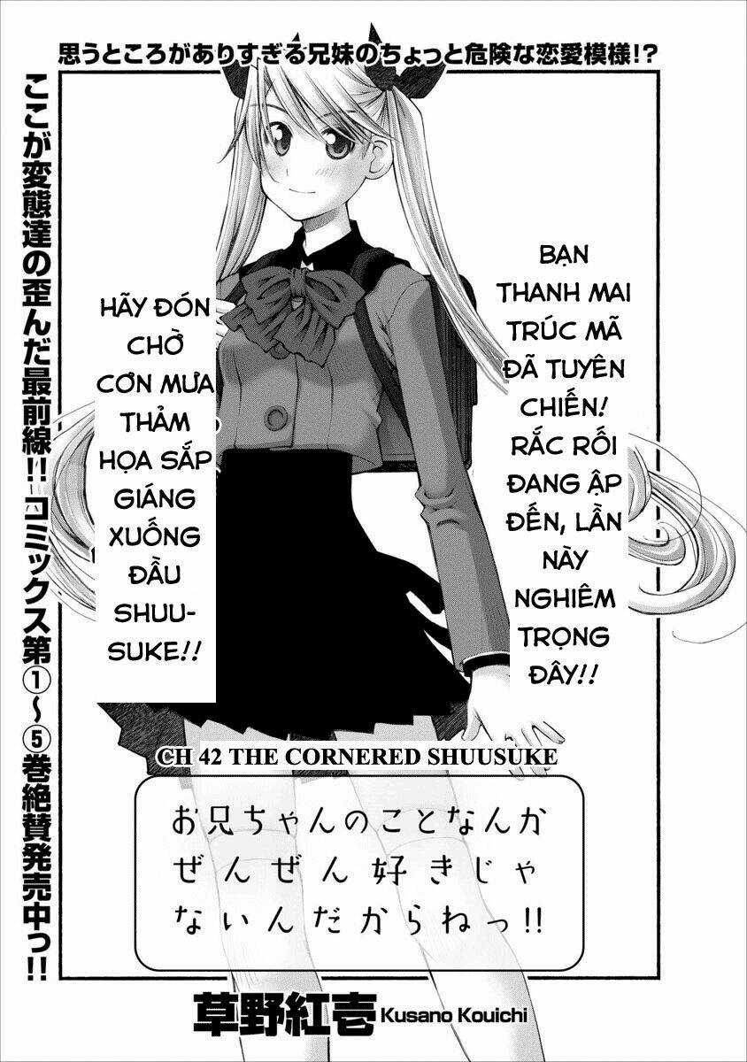 Oniichan No Koto Nanka Zenzen Suki Ja Nai N Da Kara Ne!! Chapter 42 trang 7