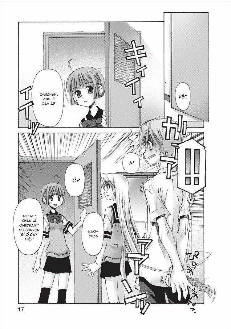 Oniichan No Koto Nanka Zenzen Suki Ja Nai N Da Kara Ne!! Chapter 8 trang 17
