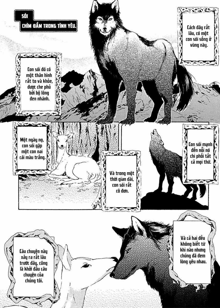 Ookami Wa Hana No Naku Chapter 1 trang 4