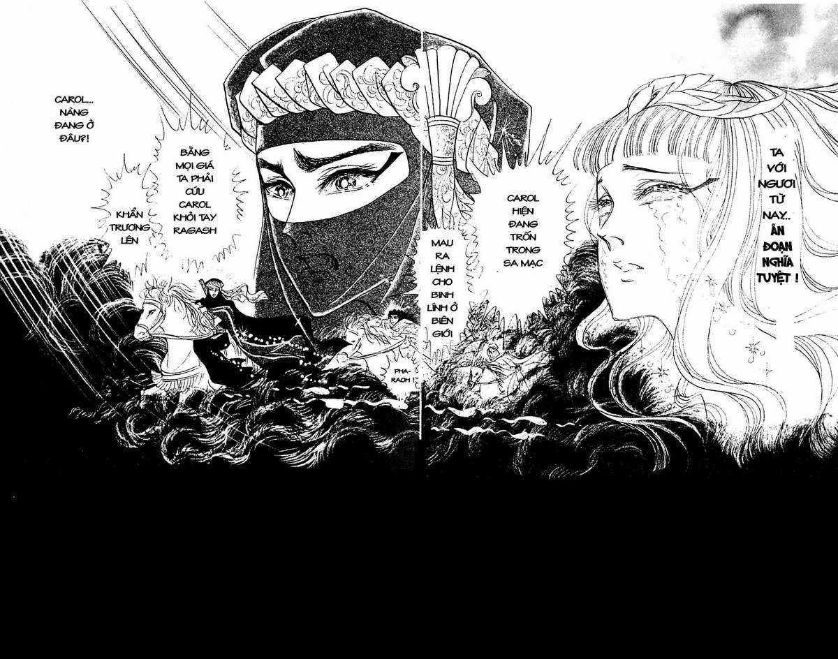 Ouke no Monshou remake Chapter 103 trang 11