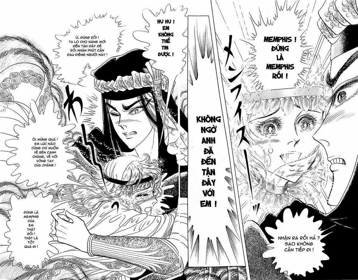 Ouke no Monshou remake Chapter 110 trang 12