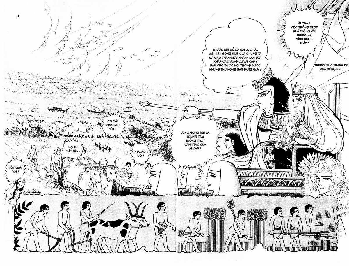 Ouke no Monshou remake Chapter 114 trang 17