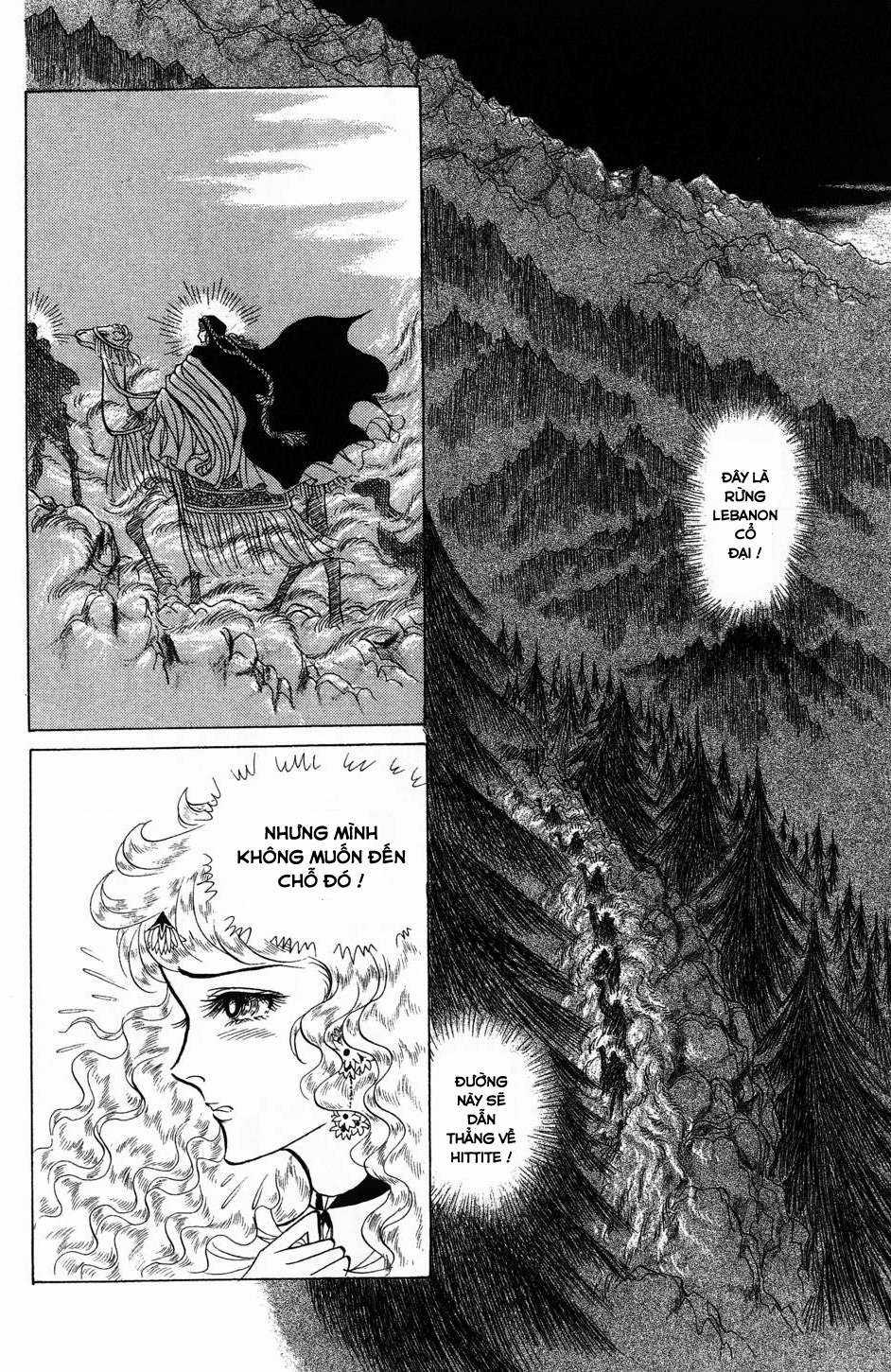 Ouke no Monshou remake Chapter 158 trang 10