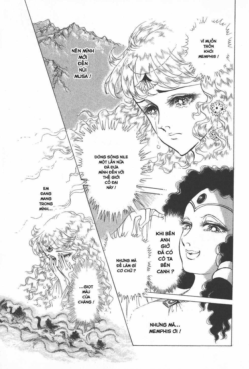 Ouke no Monshou remake Chapter 158 trang 11