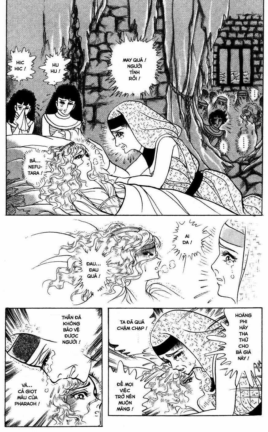 Ouke no Monshou remake Chapter 168 trang 26