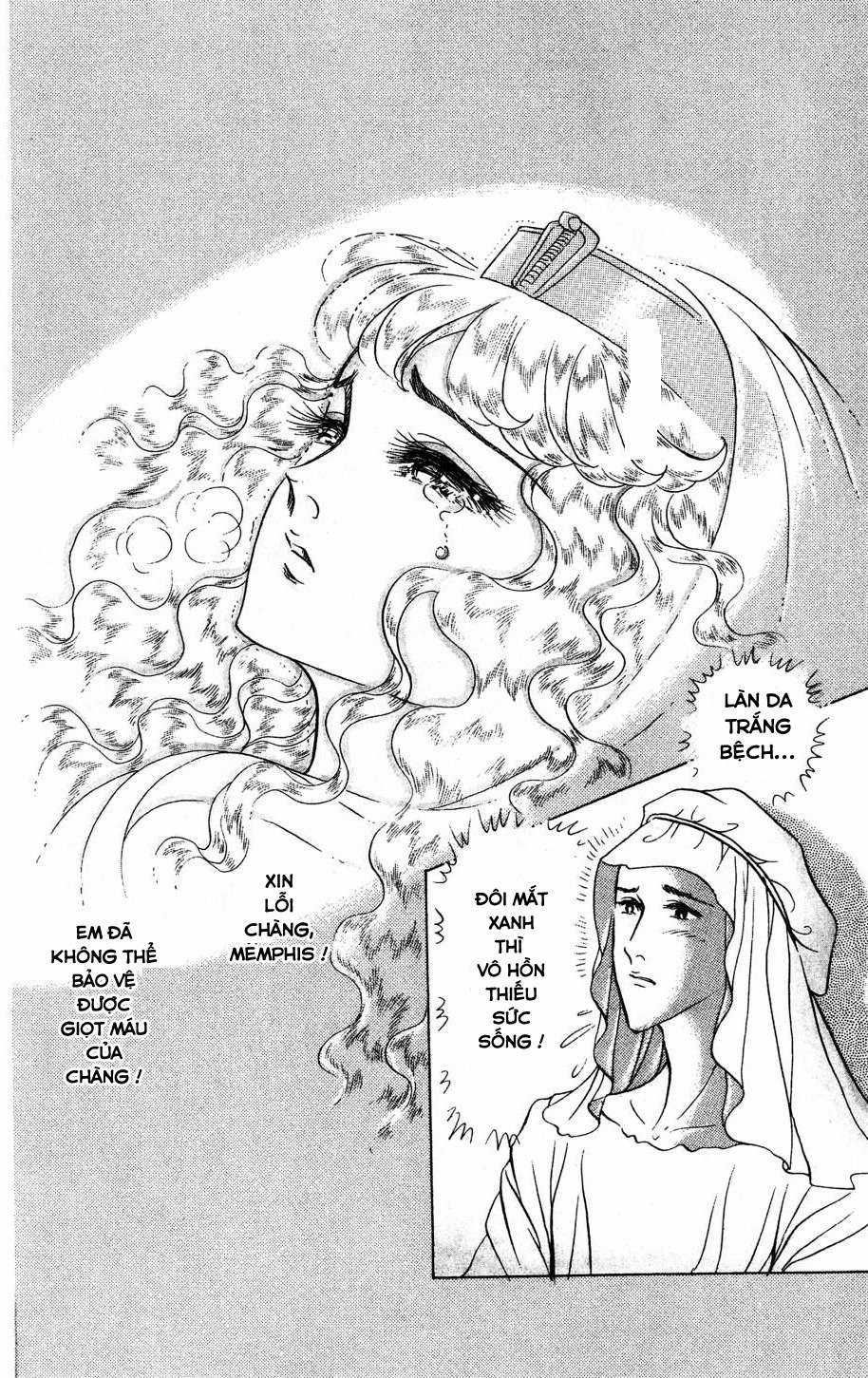 Ouke no Monshou remake Chapter 169 trang 29