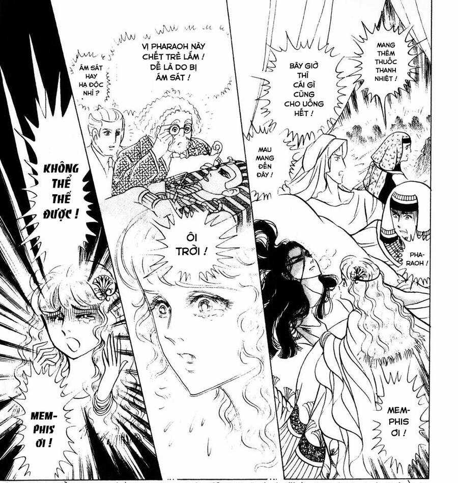 Ouke no Monshou remake Chapter 178 trang 28