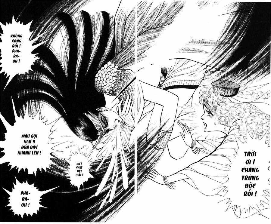 Ouke no Monshou remake Chapter 178 trang 6