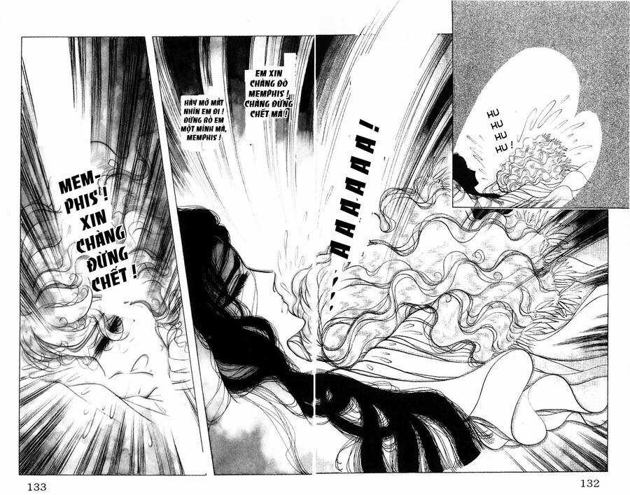 Ouke no Monshou remake Chapter 179 trang 27