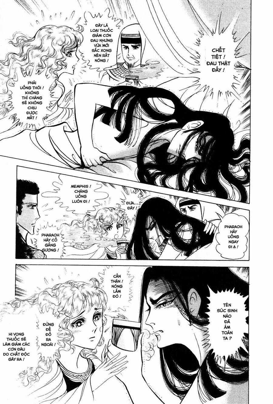 Ouke no Monshou remake Chapter 180 trang 12