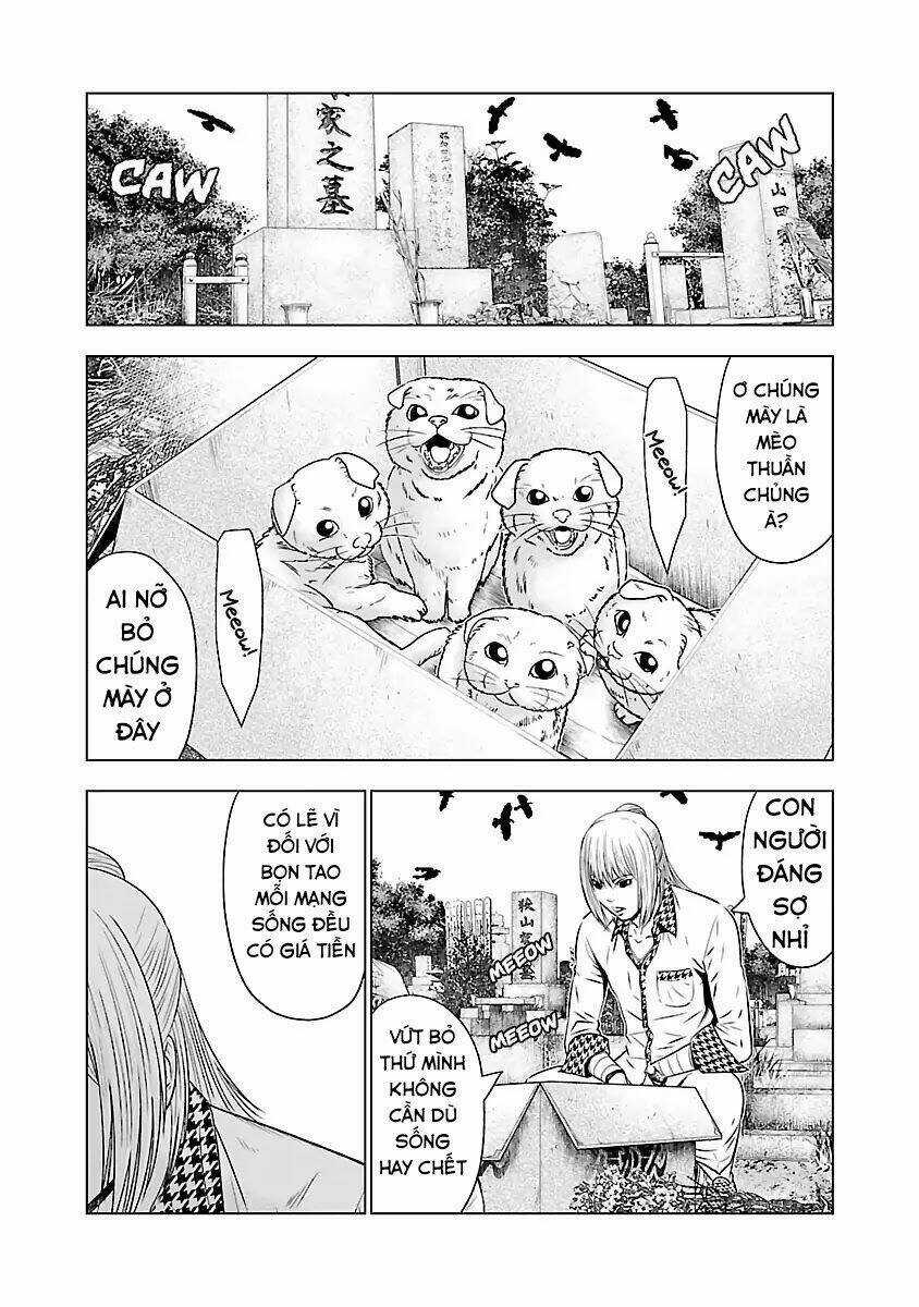 Out Chapter 52 trang 11