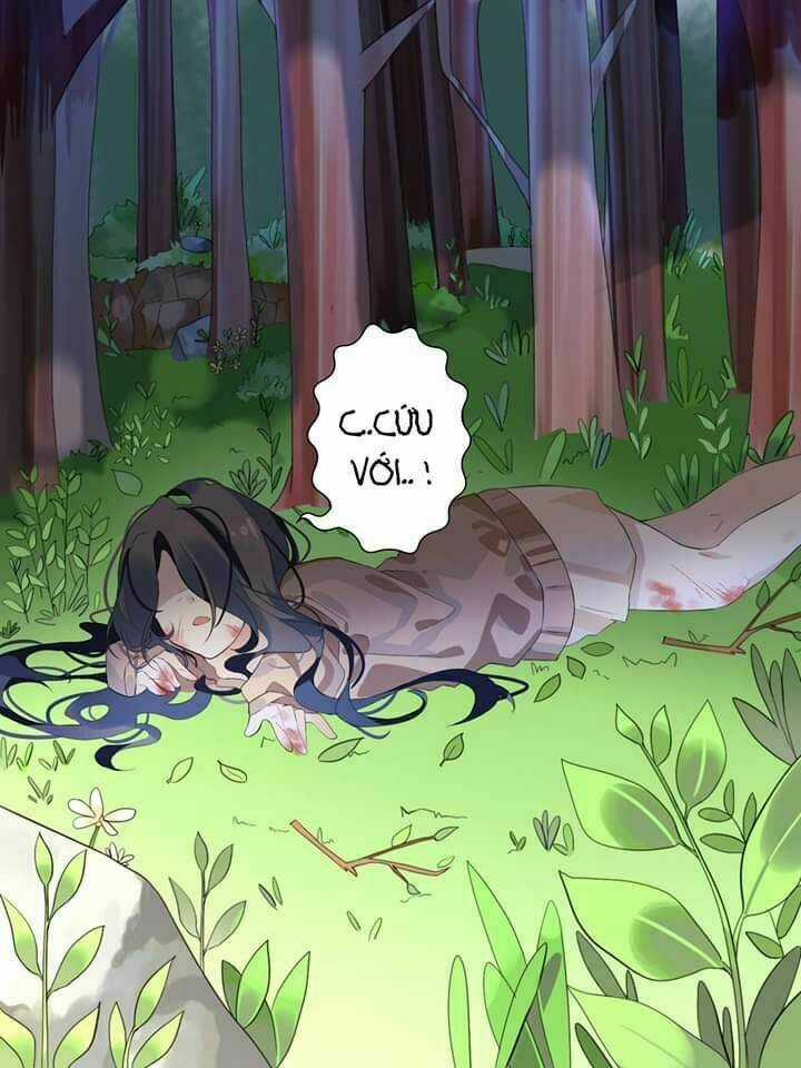 Palawari's Choice Chapter 0 trang 6