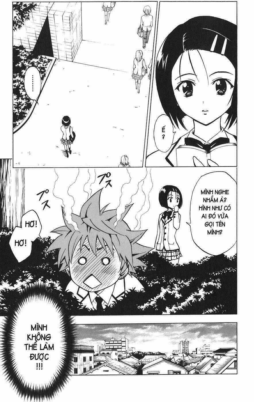 Palawari's Choice Chapter 1 trang 17