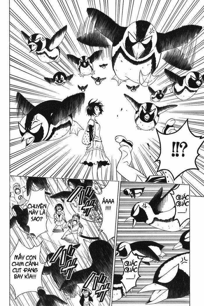 Palawari's Choice Chapter 10 trang 18