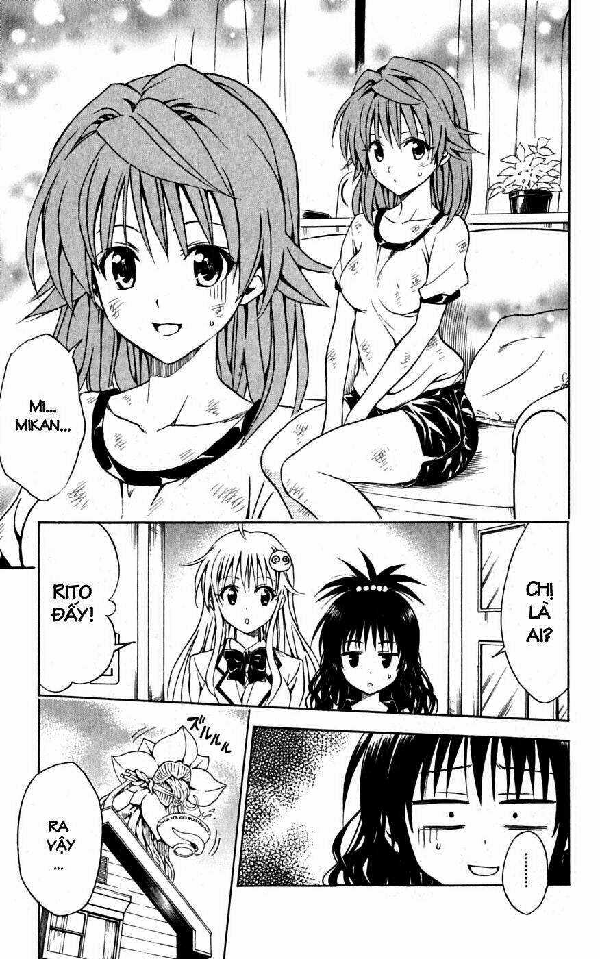 Palawari's Choice Chapter 101 trang 2