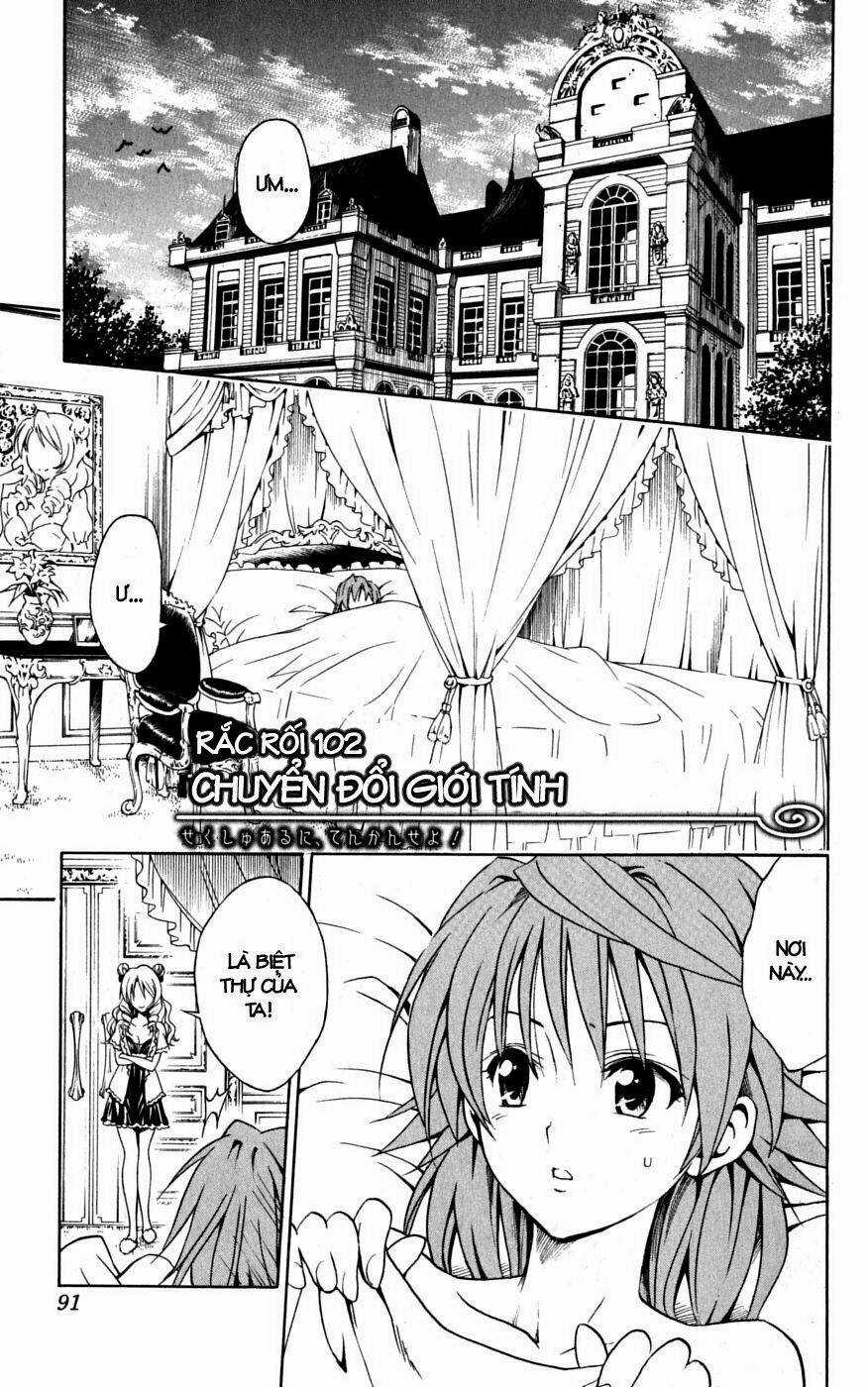Palawari's Choice Chapter 102 trang 0