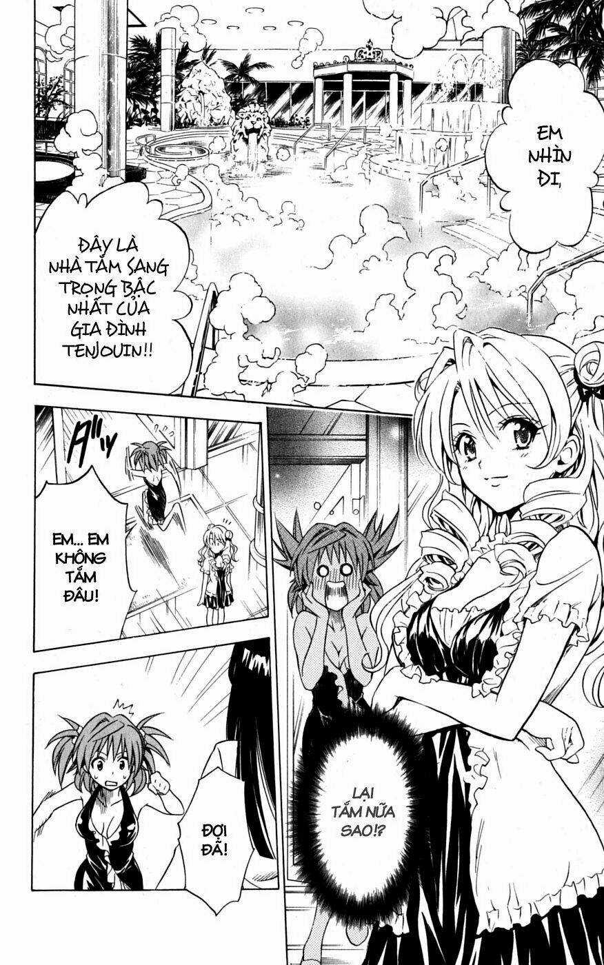 Palawari's Choice Chapter 102 trang 11