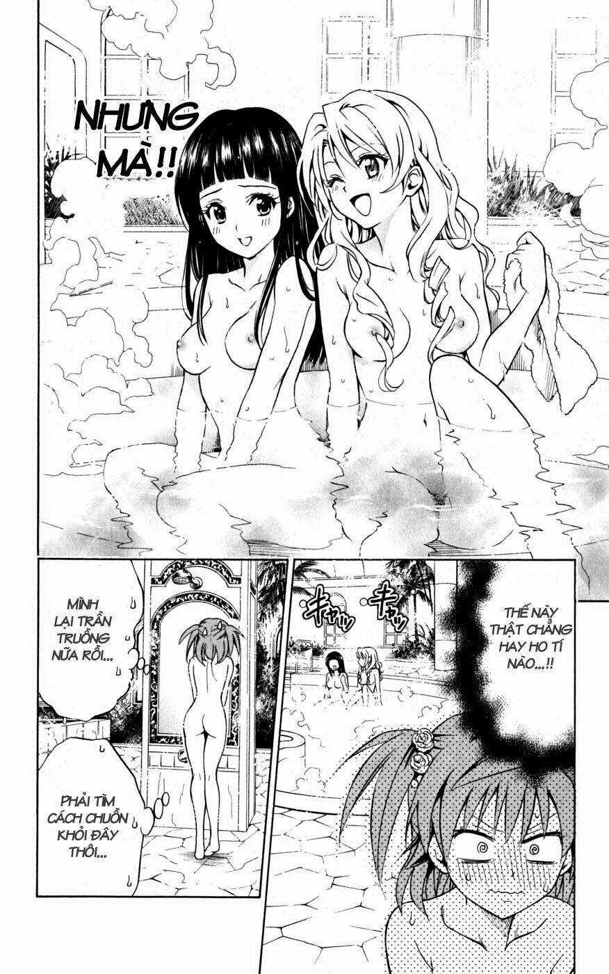 Palawari's Choice Chapter 102 trang 13