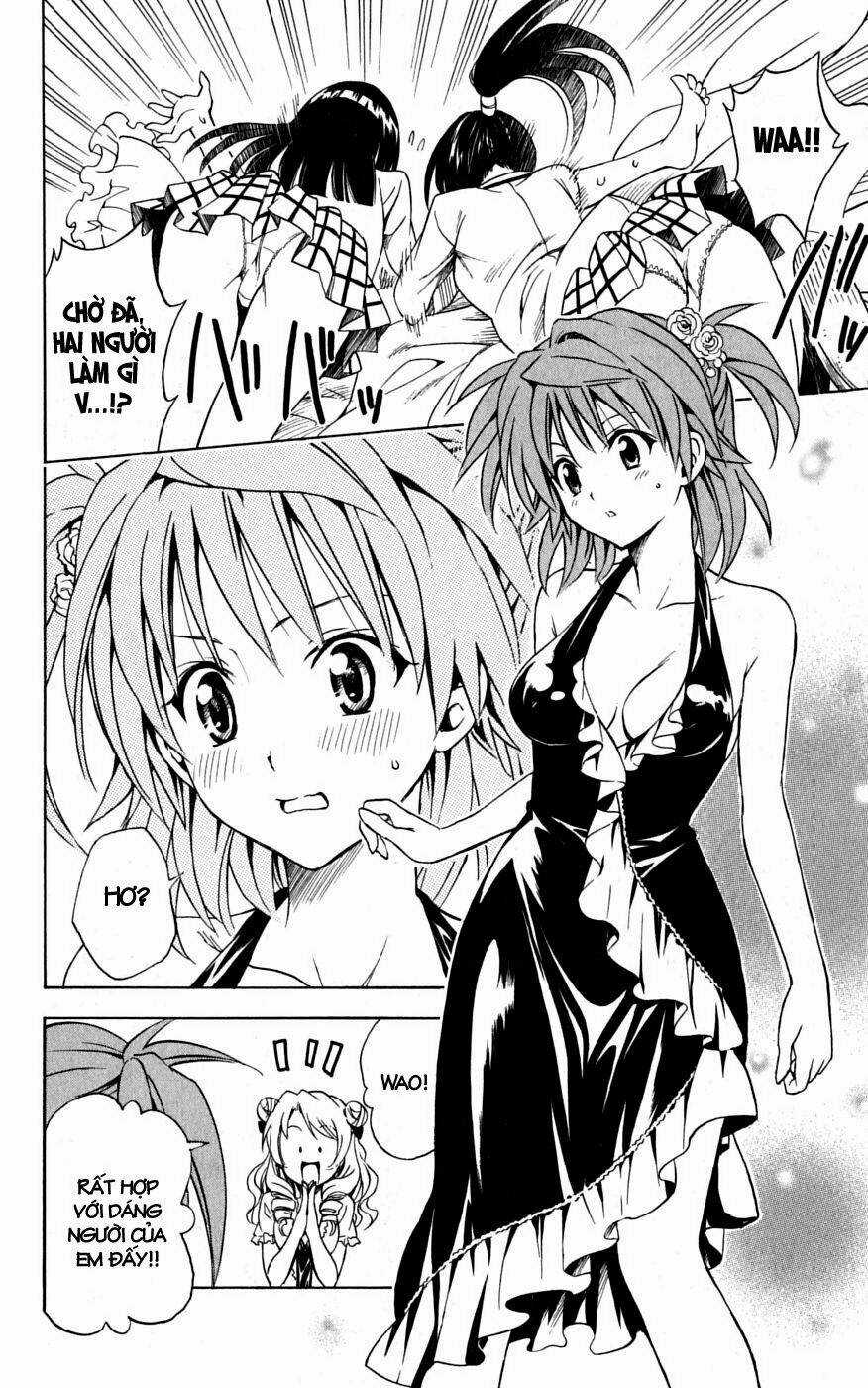 Palawari's Choice Chapter 102 trang 3