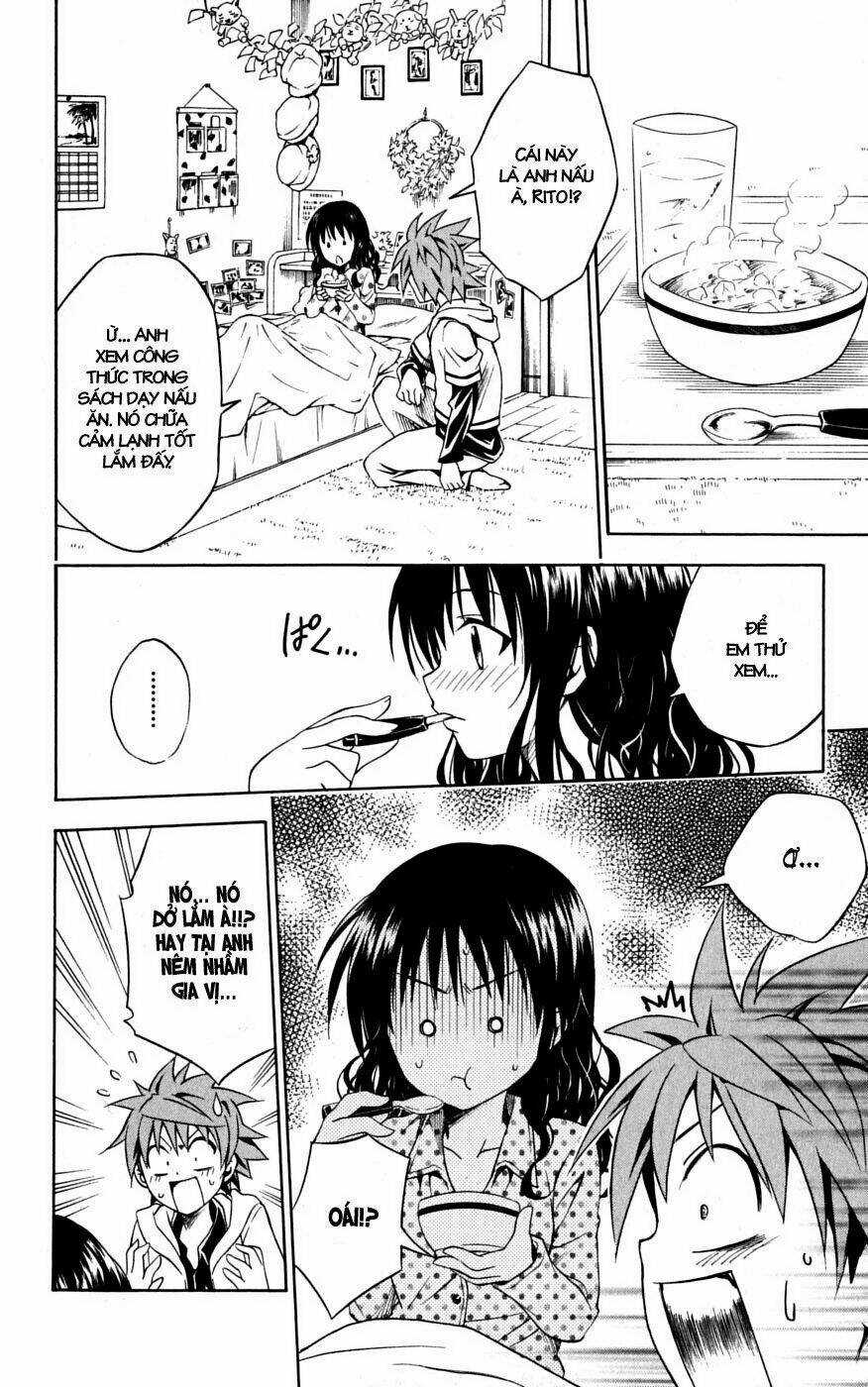 Palawari's Choice Chapter 104 trang 11