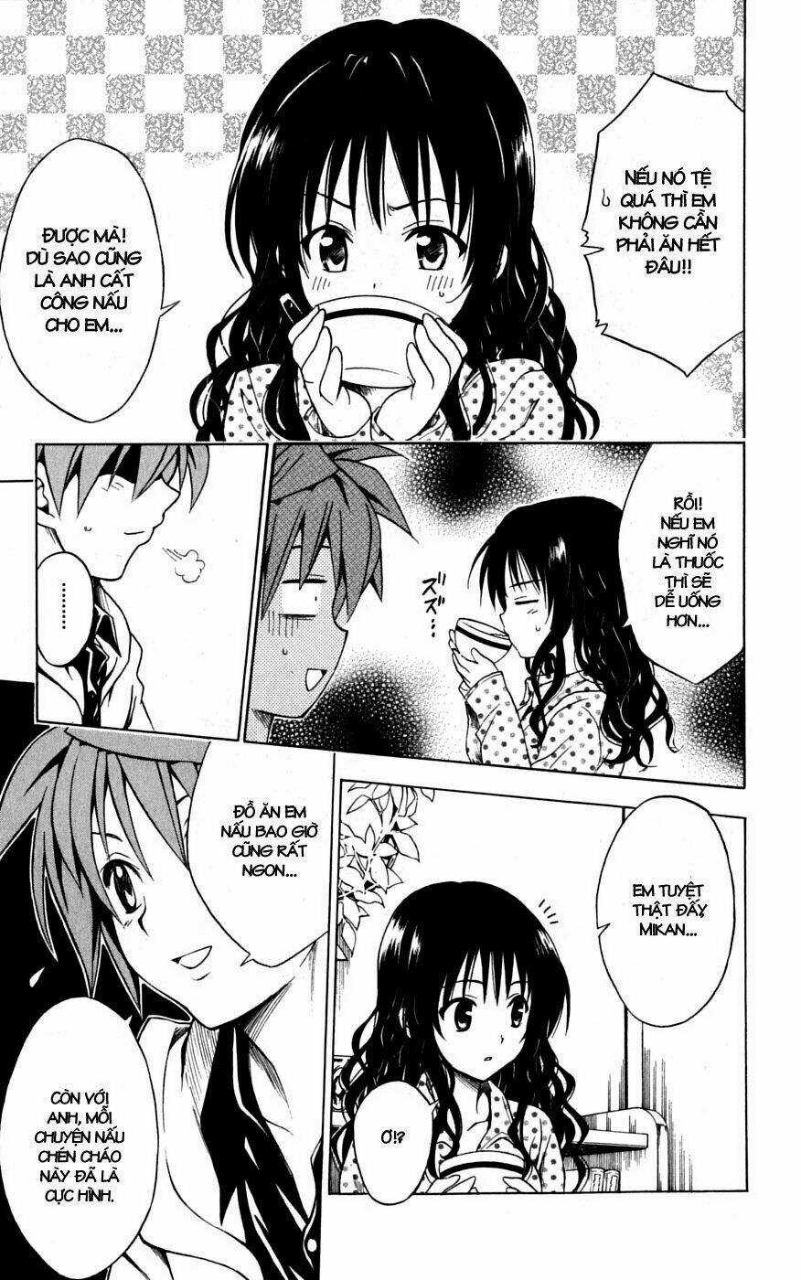 Palawari's Choice Chapter 104 trang 12