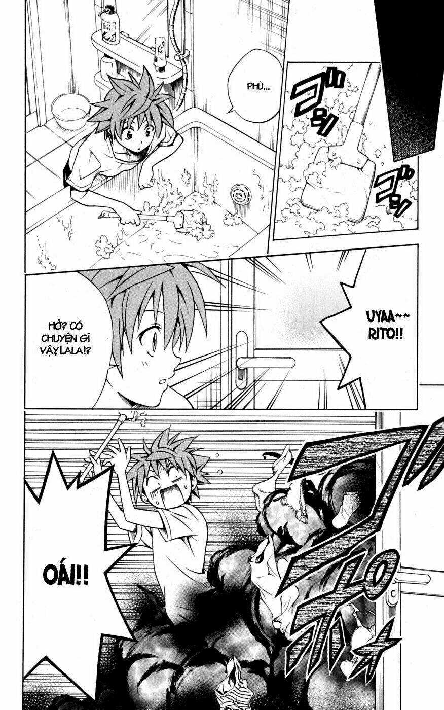 Palawari's Choice Chapter 104 trang 5