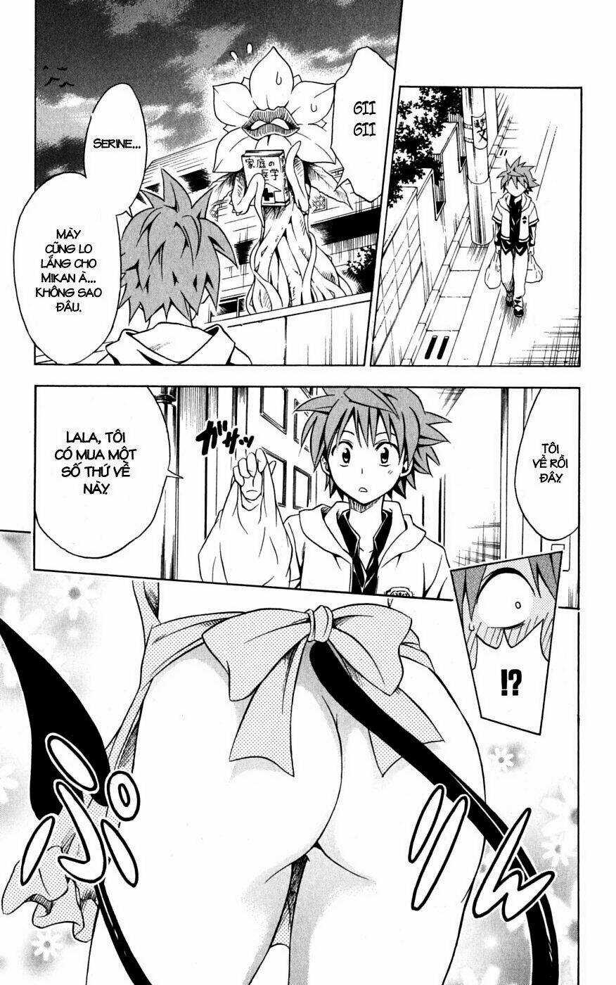 Palawari's Choice Chapter 104 trang 8