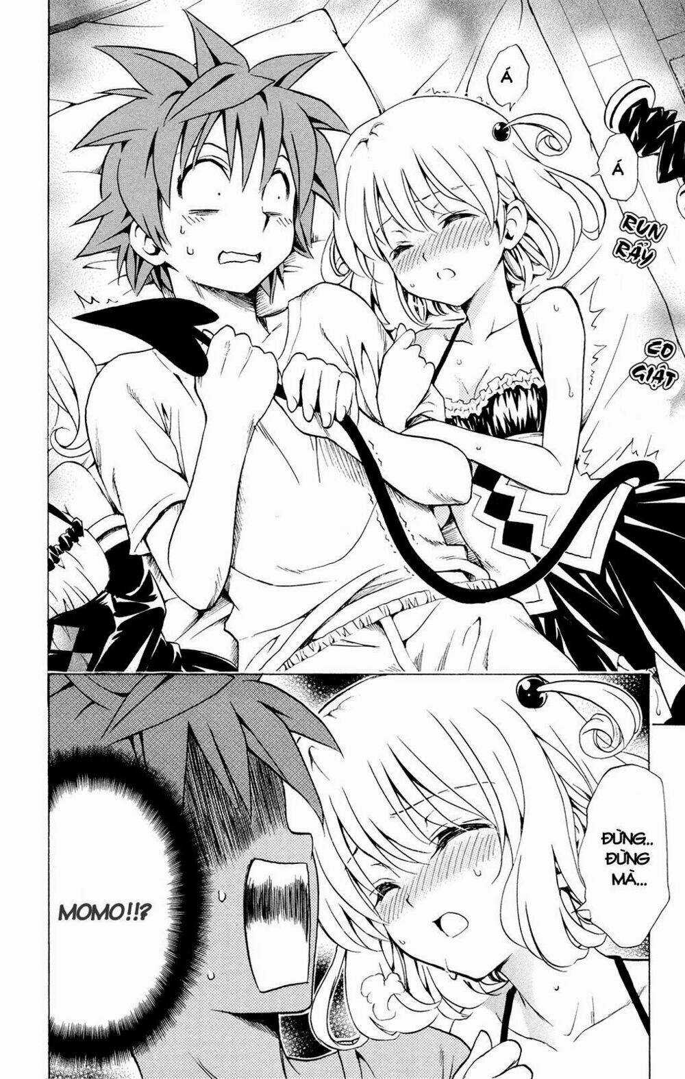 Palawari's Choice Chapter 116 trang 10