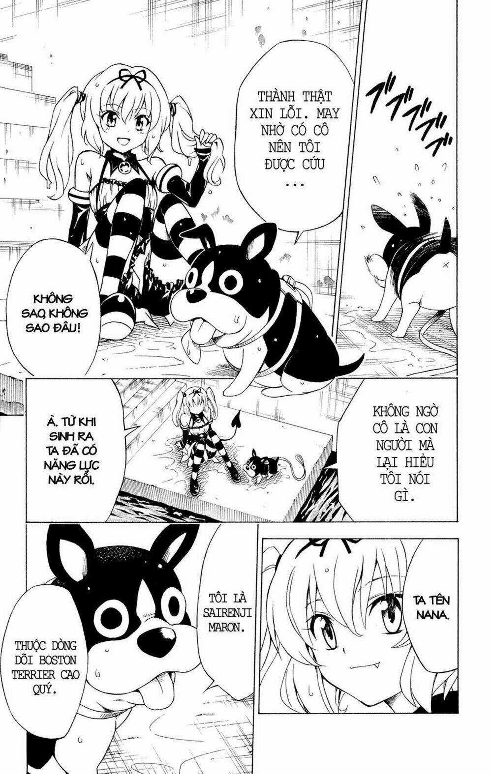 Palawari's Choice Chapter 116 trang 21