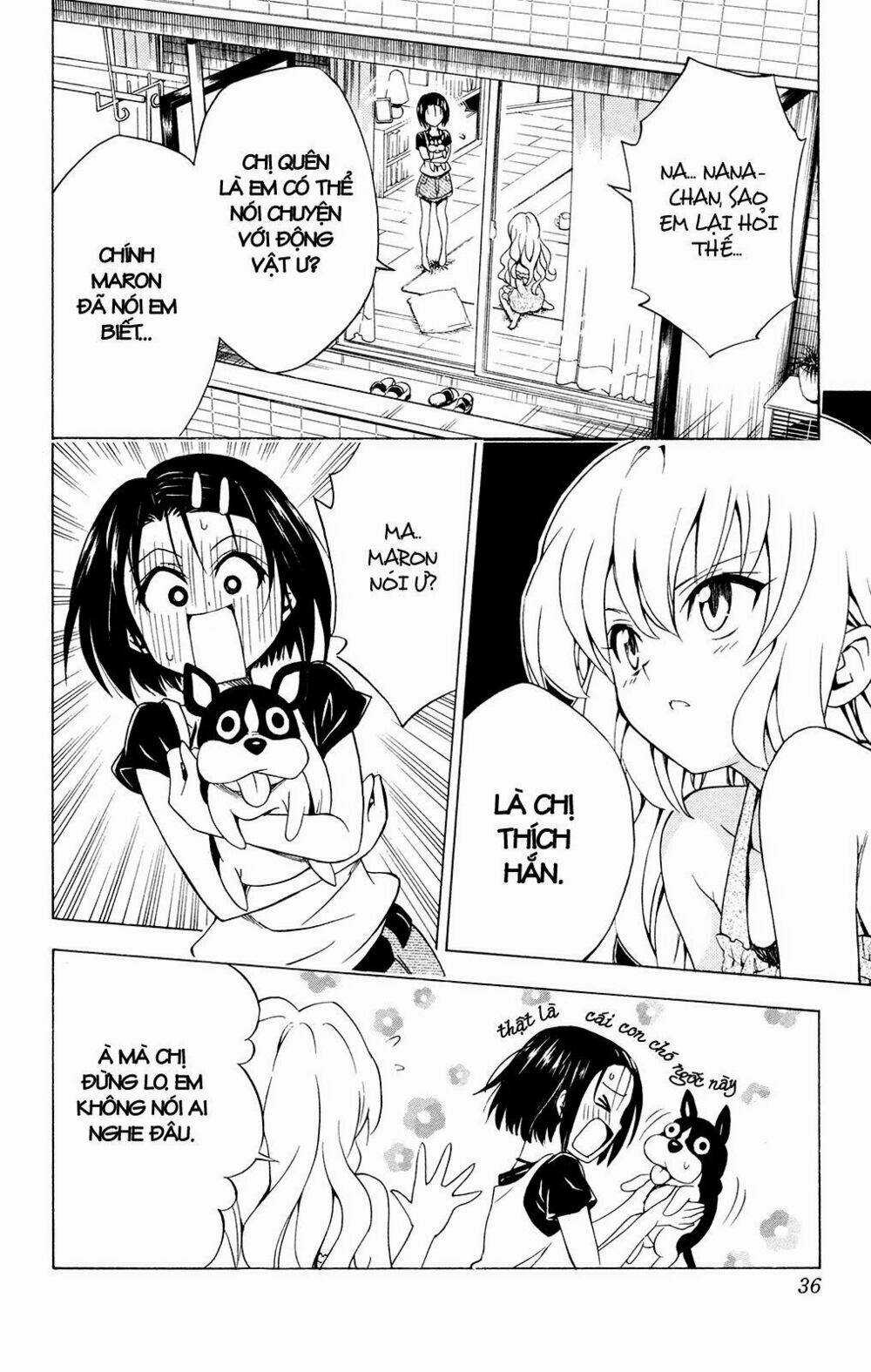 Palawari's Choice Chapter 117 trang 11