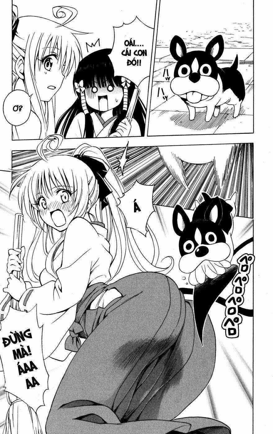 Palawari's Choice Chapter 134 trang 16