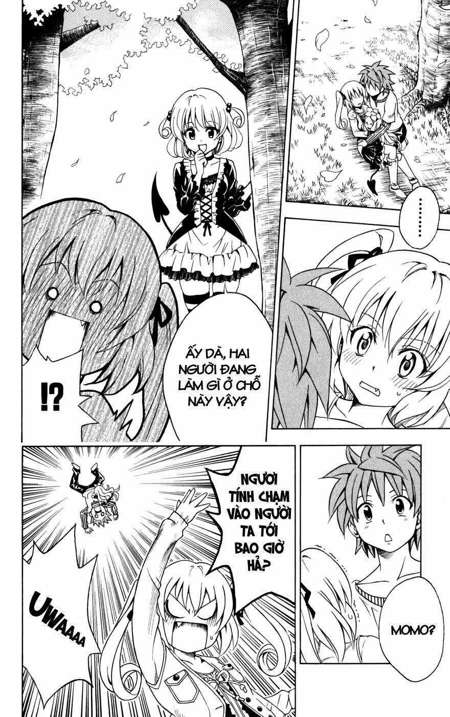 Palawari's Choice Chapter 141 trang 17