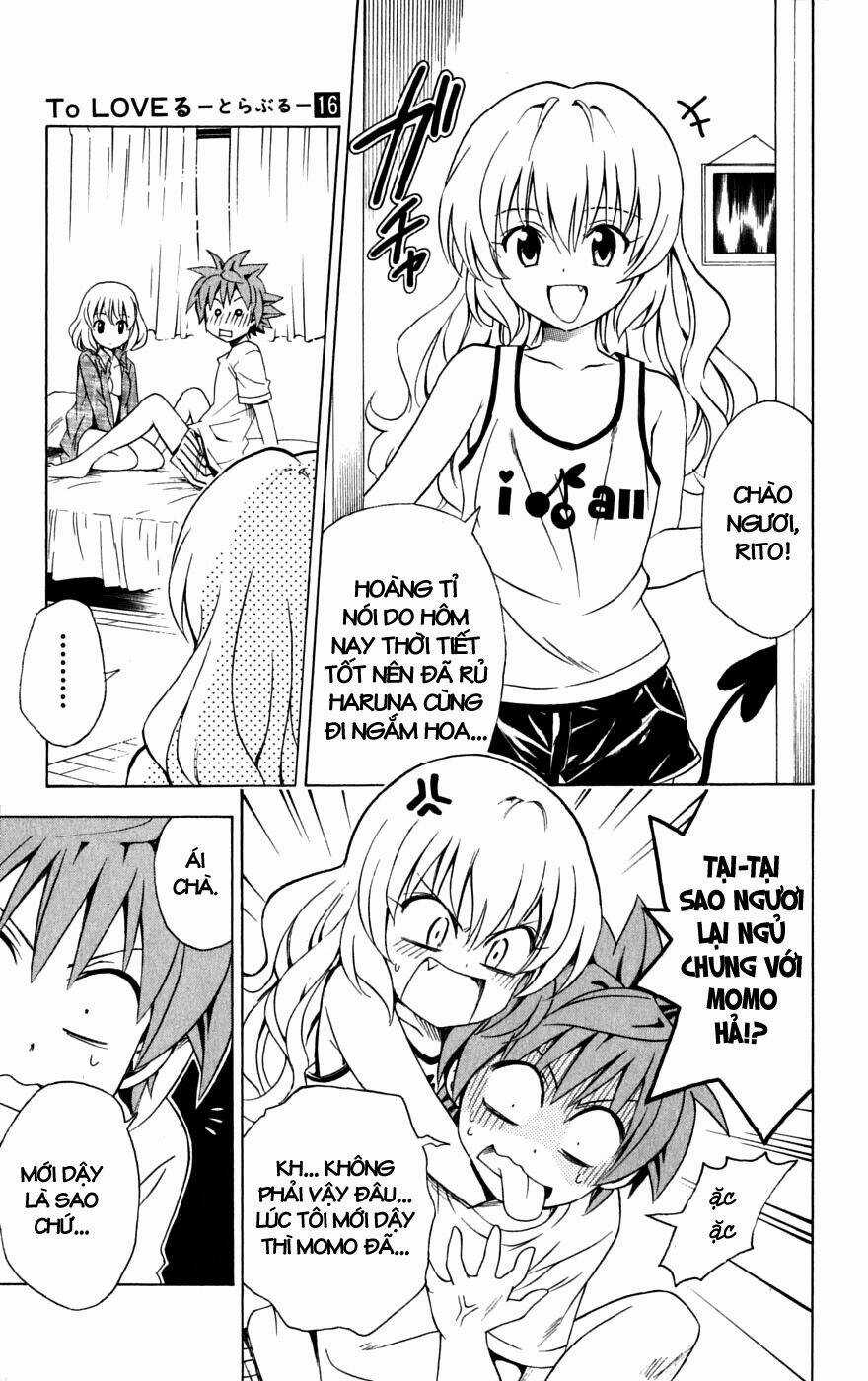 Palawari's Choice Chapter 141 trang 2