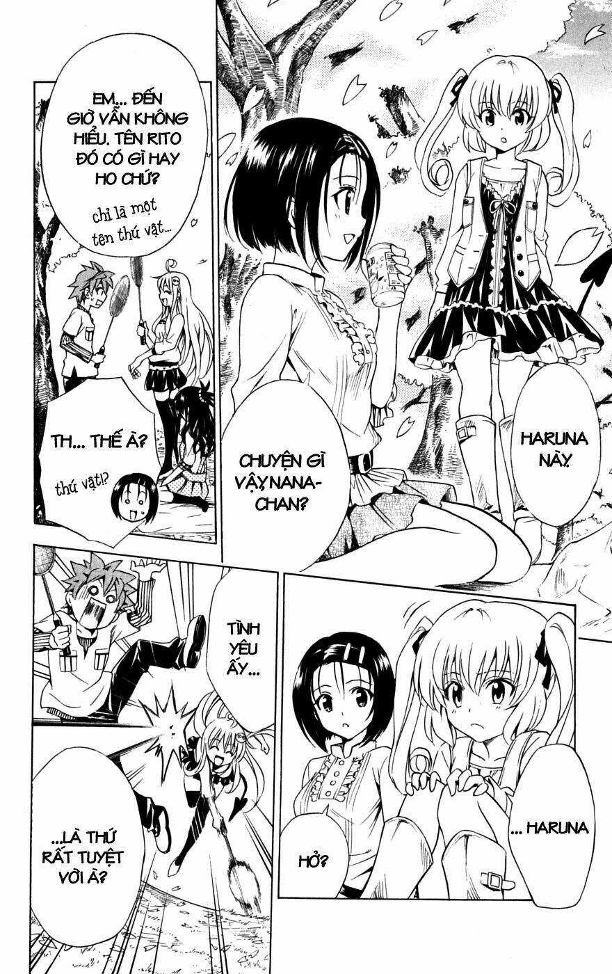 Palawari's Choice Chapter 141 trang 7