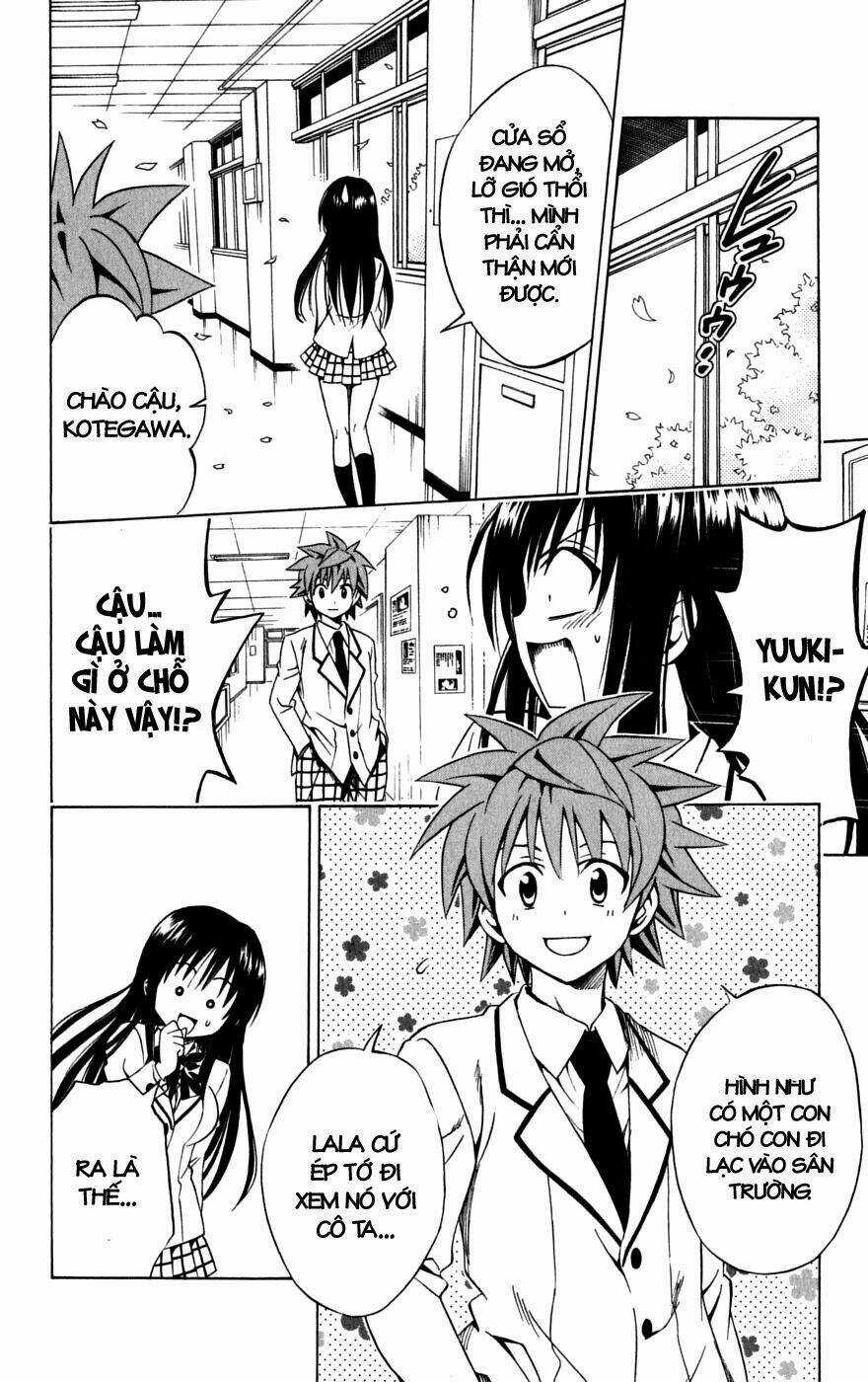 Palawari's Choice Chapter 142 trang 9