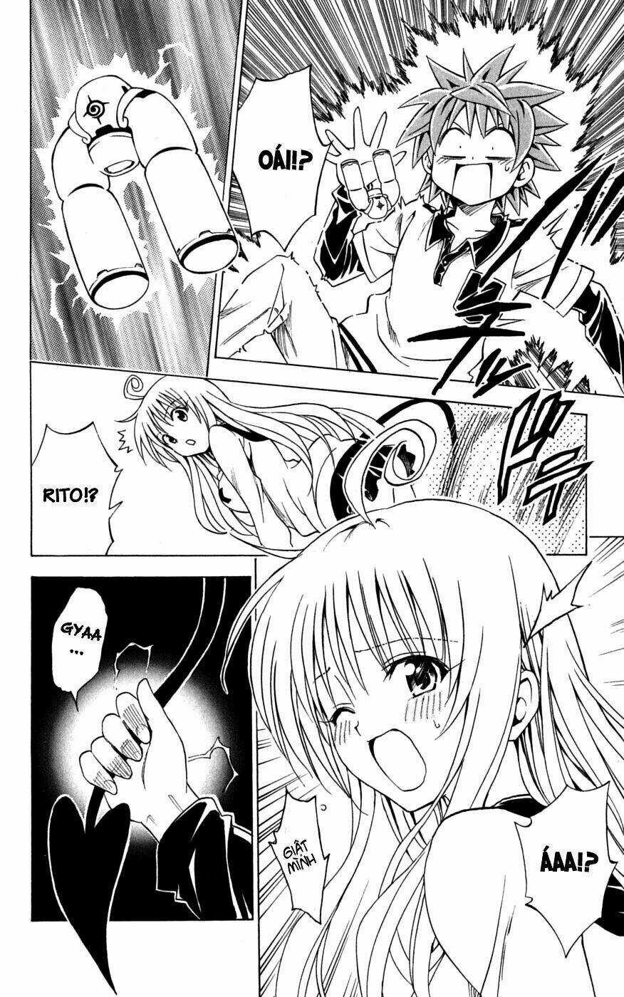 Palawari's Choice Chapter 143 trang 11