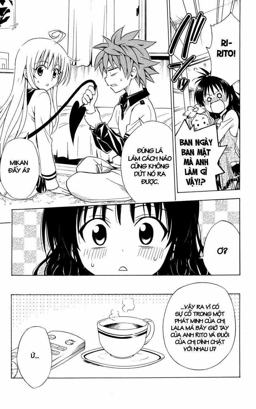 Palawari's Choice Chapter 143 trang 14