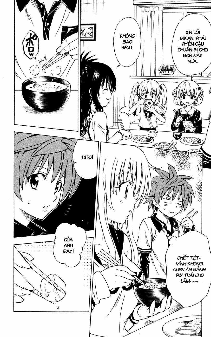 Palawari's Choice Chapter 143 trang 19
