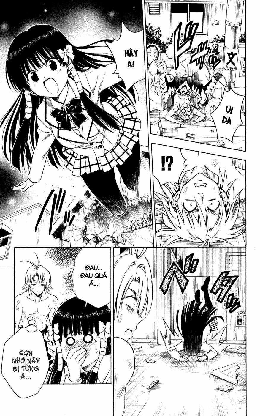 Palawari's Choice Chapter 144 trang 12