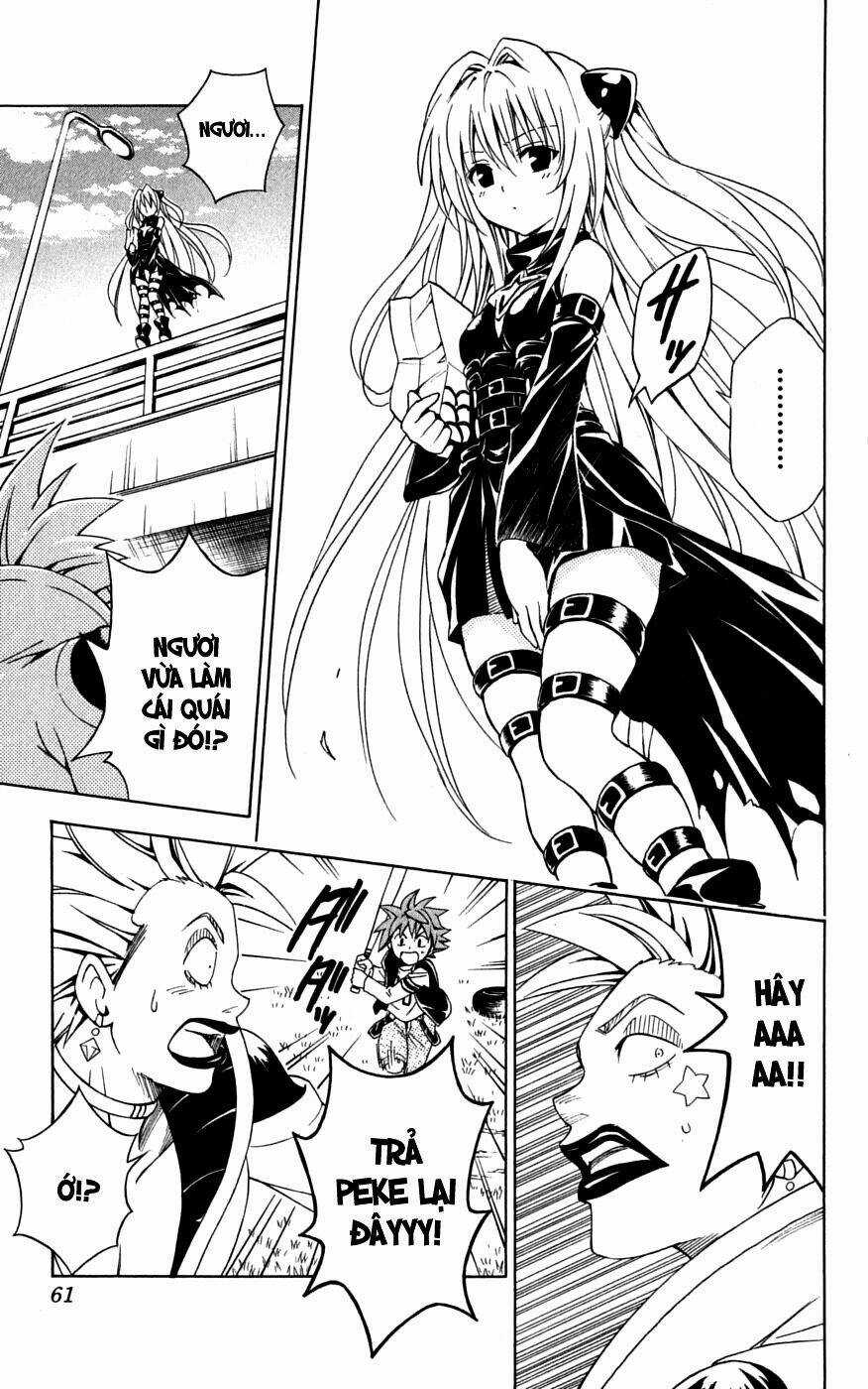 Palawari's Choice Chapter 145 trang 14