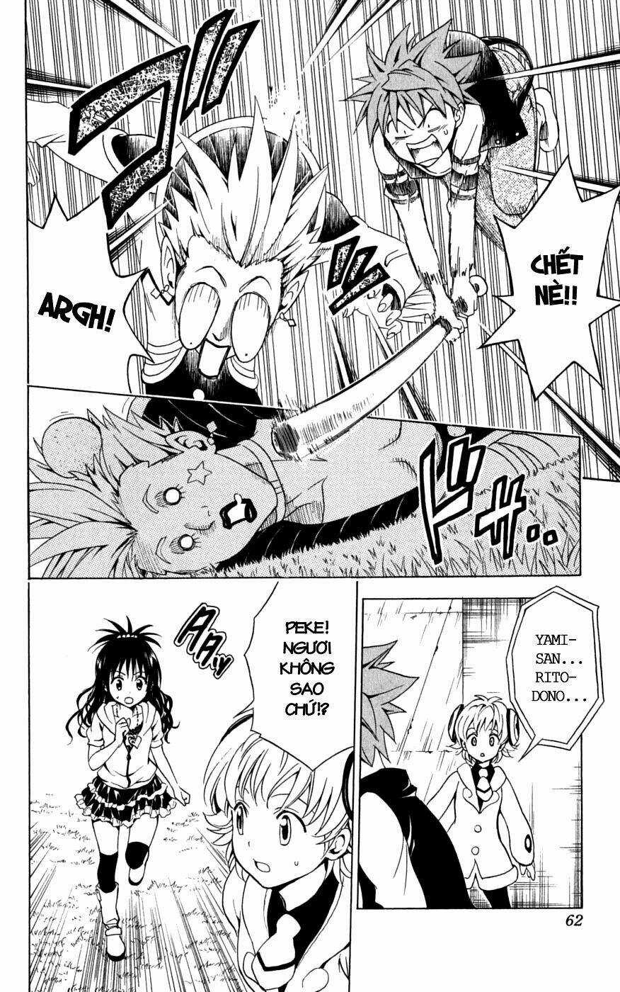 Palawari's Choice Chapter 145 trang 15