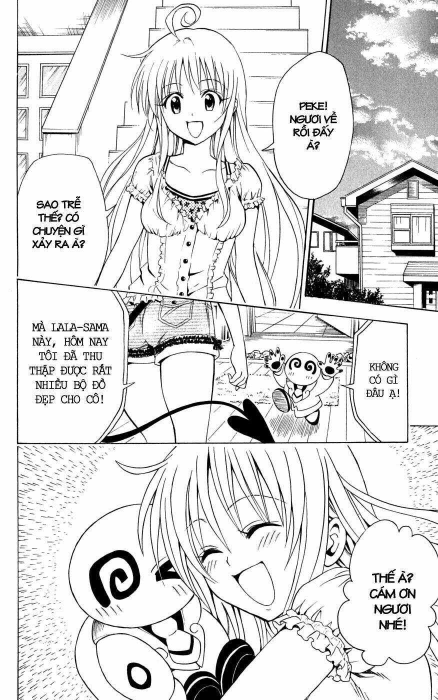 Palawari's Choice Chapter 145 trang 17