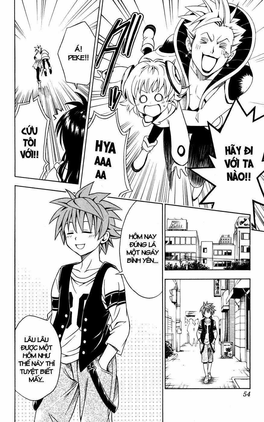 Palawari's Choice Chapter 145 trang 7