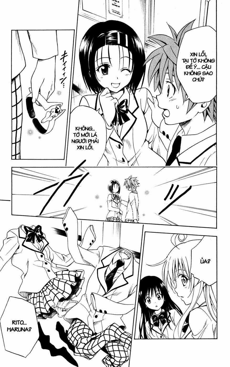 Palawari's Choice Chapter 146 trang 2