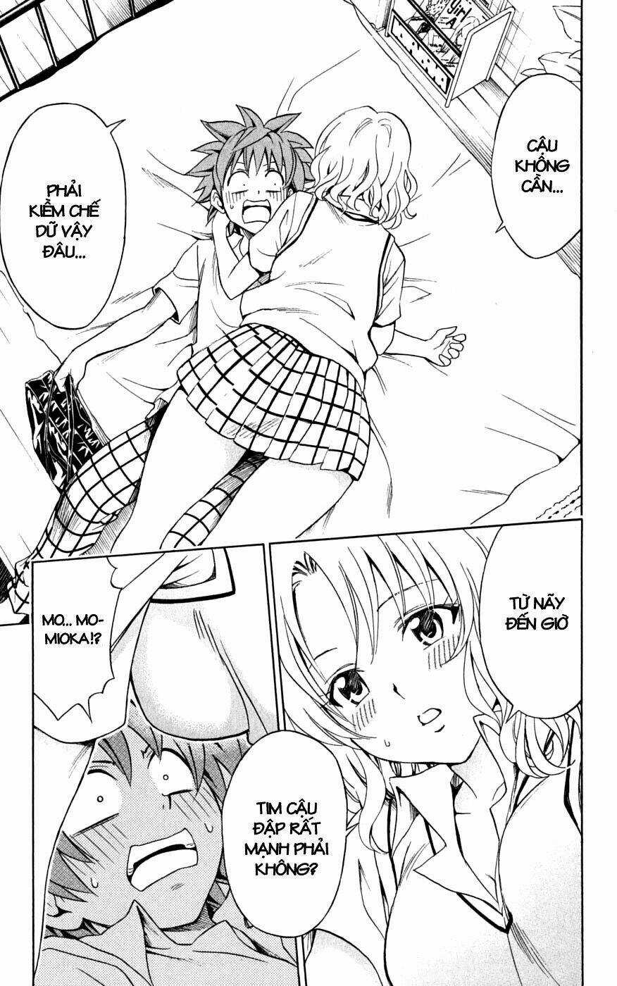 Palawari's Choice Chapter 147 trang 14