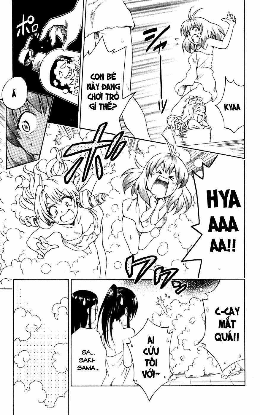 Palawari's Choice Chapter 148 trang 14