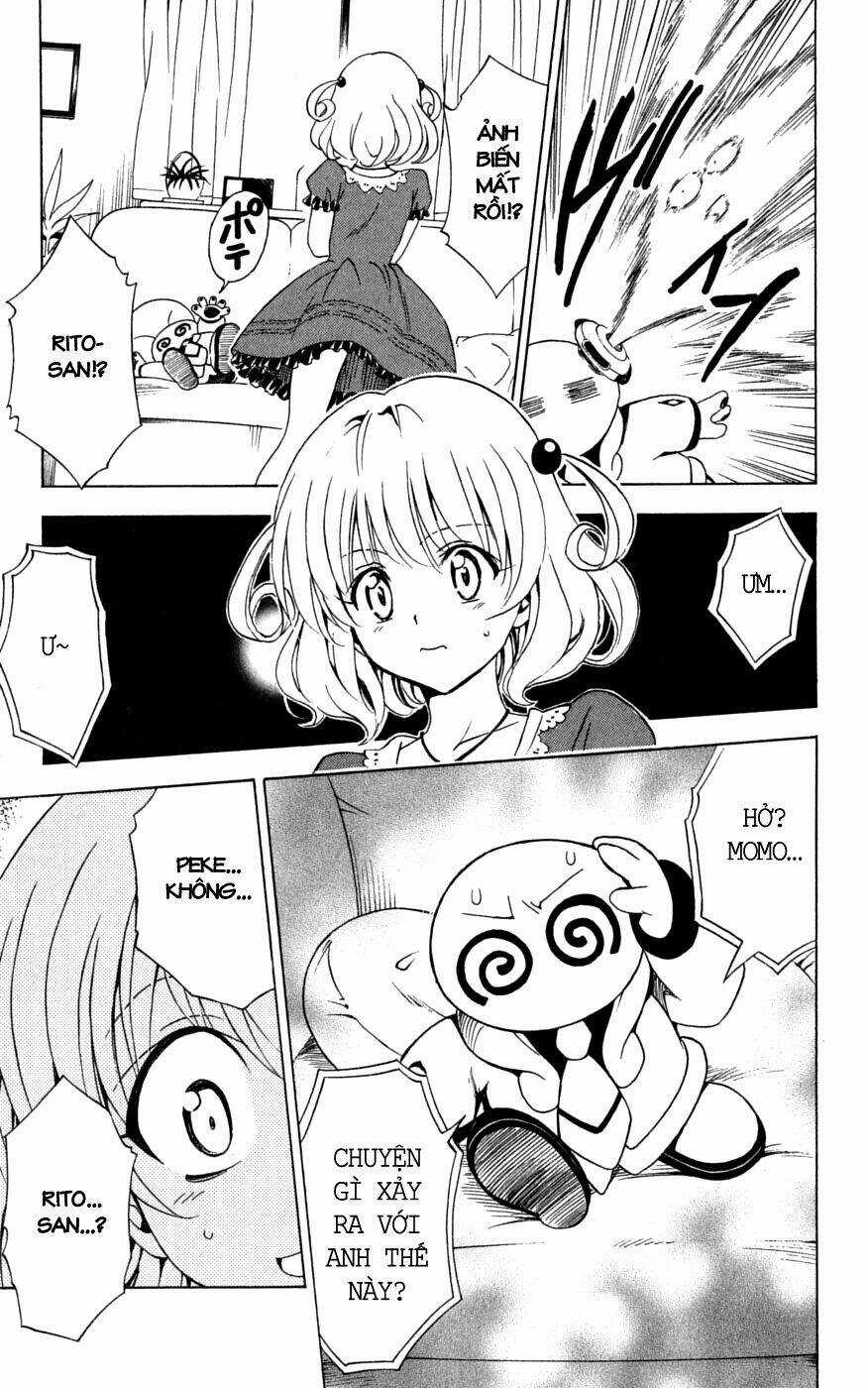 Palawari's Choice Chapter 152 trang 10