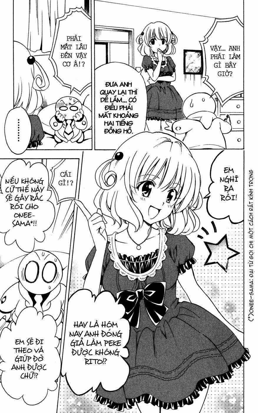 Palawari's Choice Chapter 152 trang 12